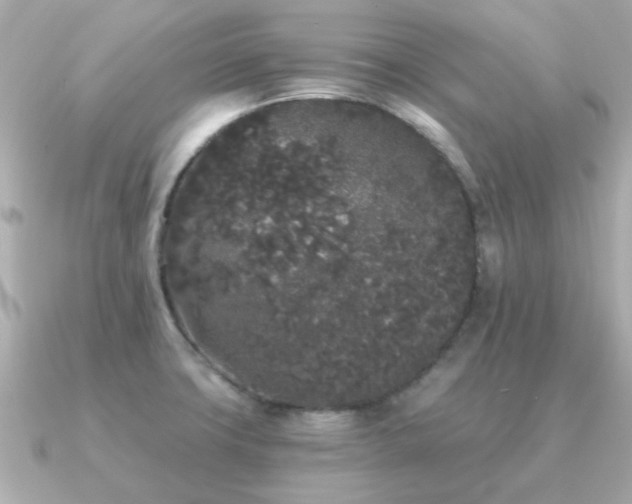 X0000091331427200708101418
