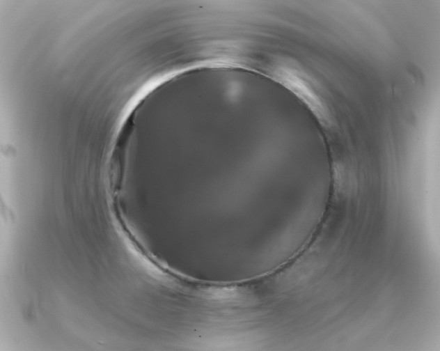 X0000091331428200708101418