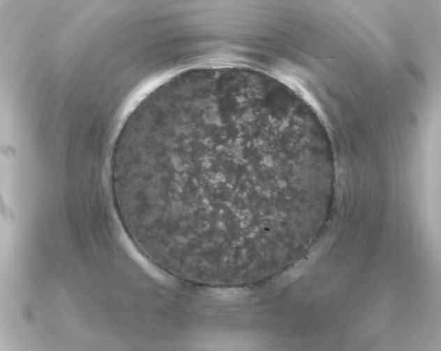 X0000091331429200708101418