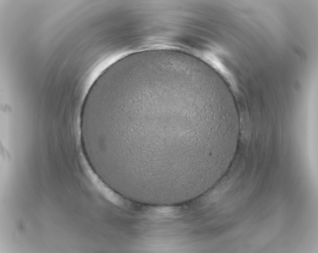 X0000091331431200708101418
