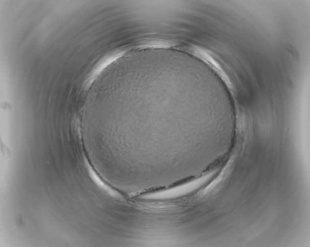 X0000091331433200708101418