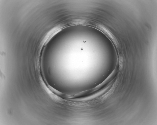 X0000091331434200708101418
