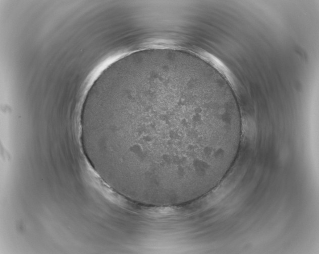 X0000091331435200708101418