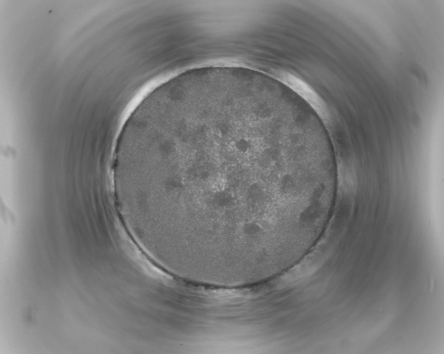 X0000091331436200708101418