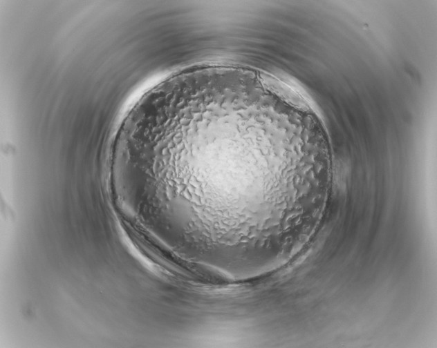X0000091331437200708101418