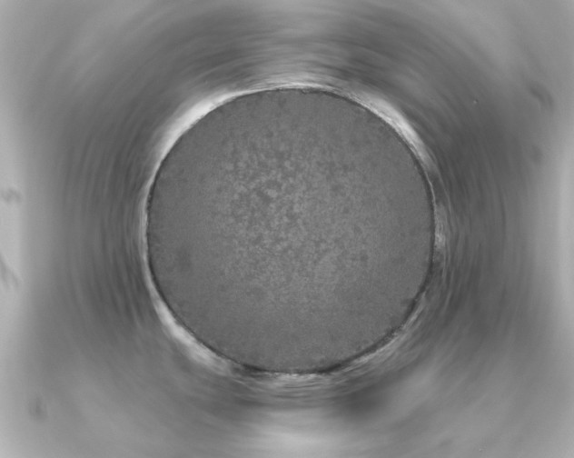 X0000091331439200708101418