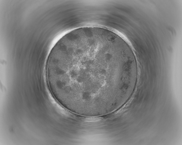 X0000091331440200708101418