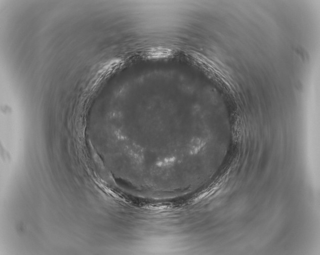 X0000091331441200708101417