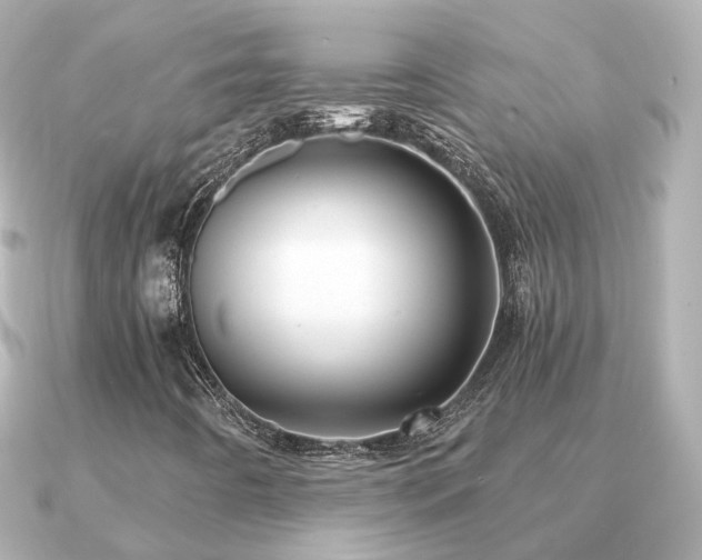 X0000091331442200708101417