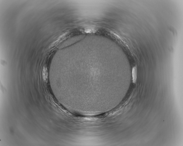 X0000091331443200708101417