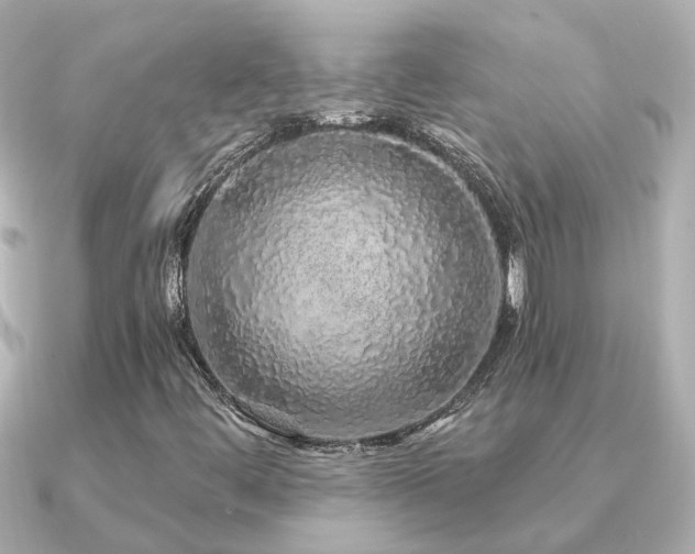 X0000091331444200708101417
