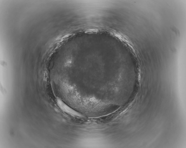 X0000091331445200708101417