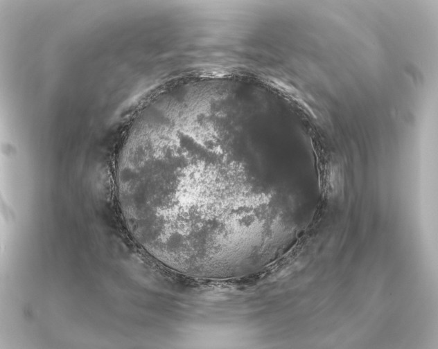 X0000091331446200708101417