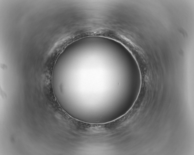 X0000091331447200708101417