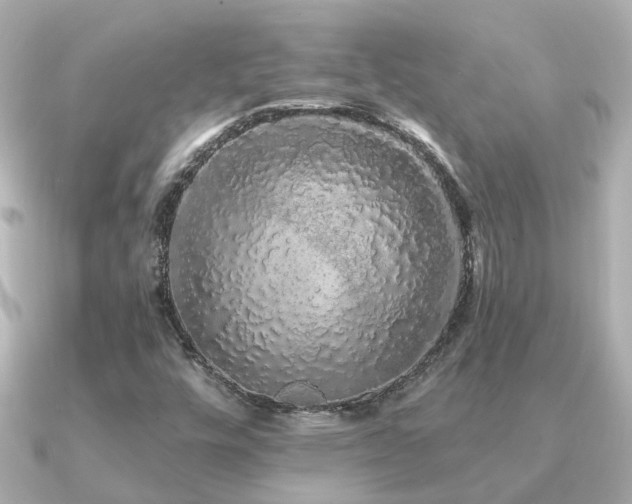 X0000091331448200708101417