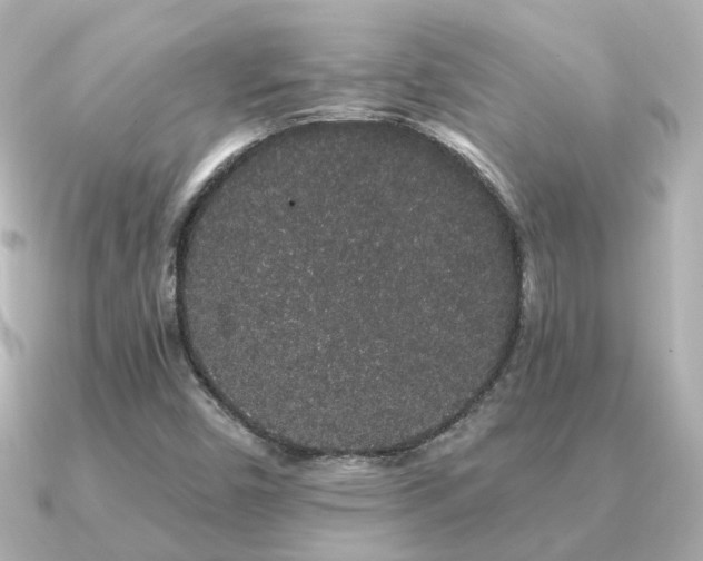 X0000091331450200708101417