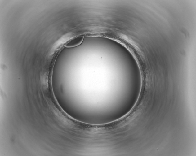X0000091331451200708101417