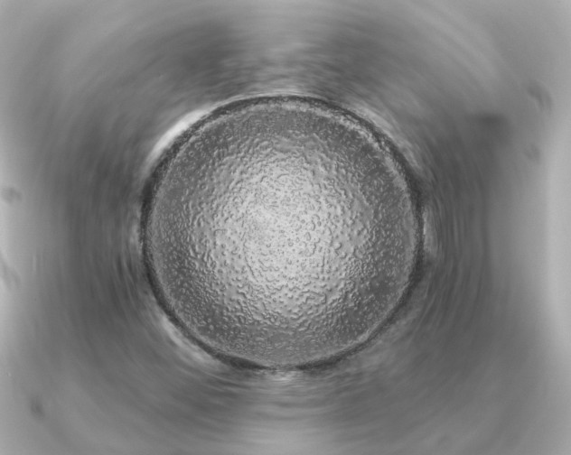 X0000091331452200708101417