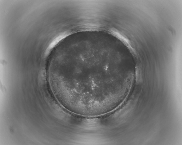 X0000091331453200708101417