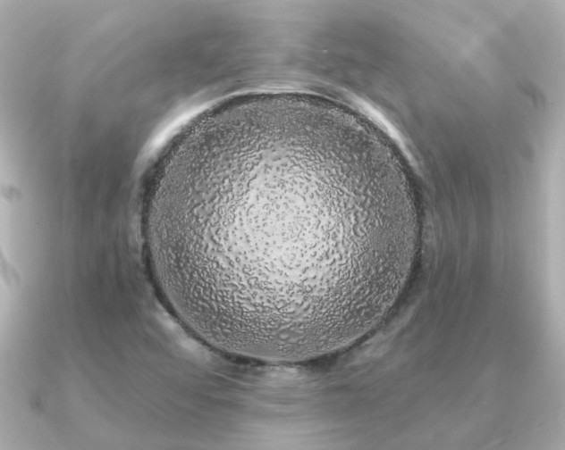 X0000091331456200708101417