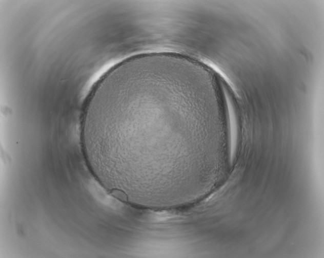 X0000091331460200708101417
