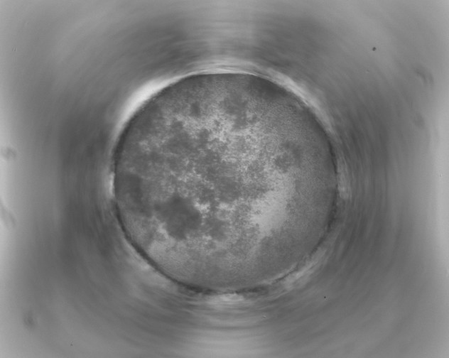 X0000091331462200708101417