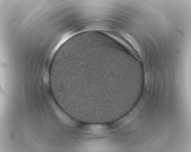 X0000091331465200708101417