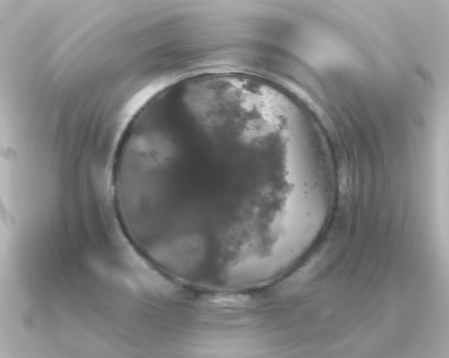 X0000091331466200708101417