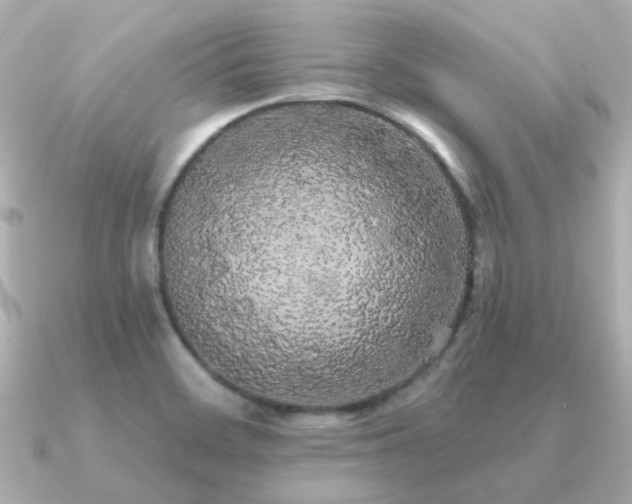 X0000091331468200708101417