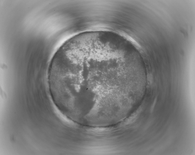 X0000091331470200708101417