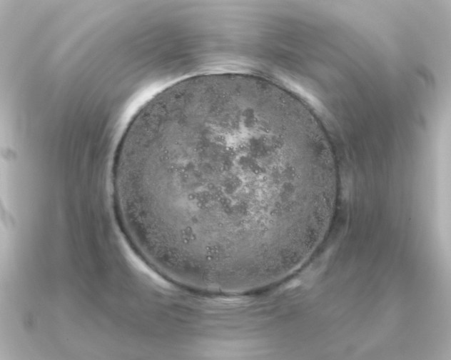 X0000091331471200708101417
