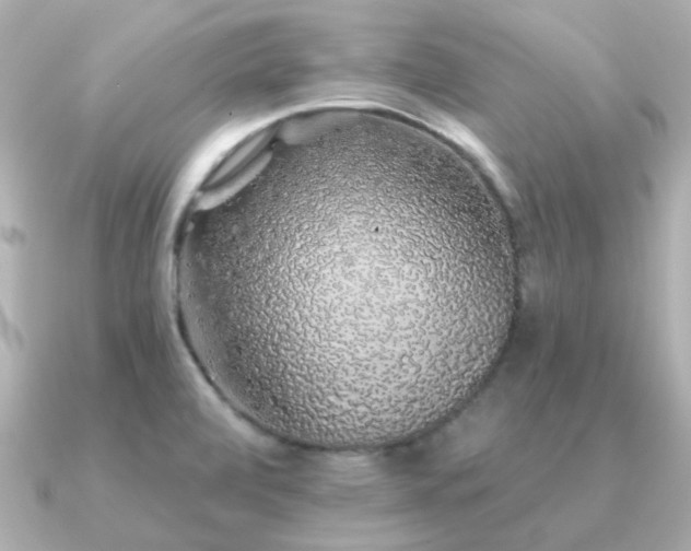 X0000091331472200708101417