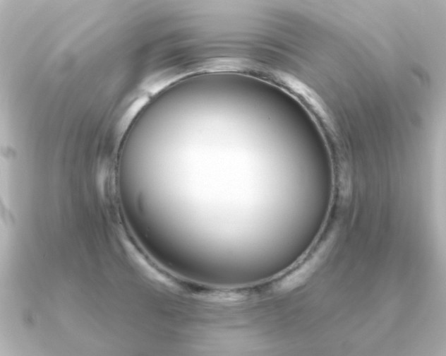 X0000091331473200708101417