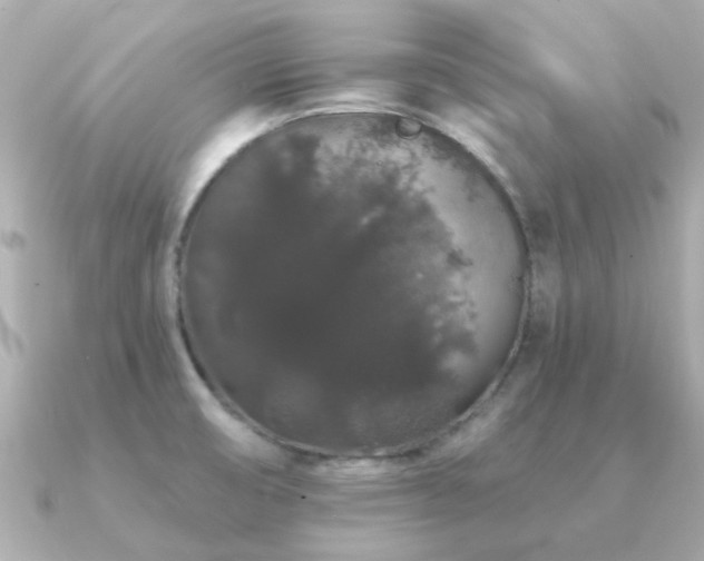 X0000091331474200708101417