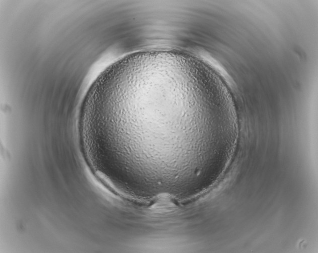 X0000091331475200708101417