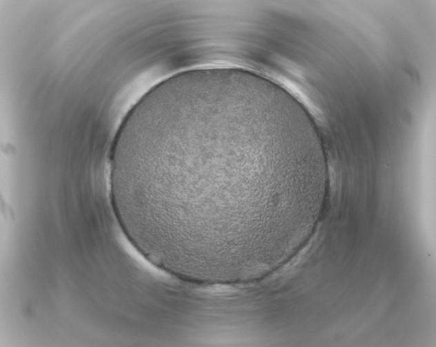 X0000091331476200708101417