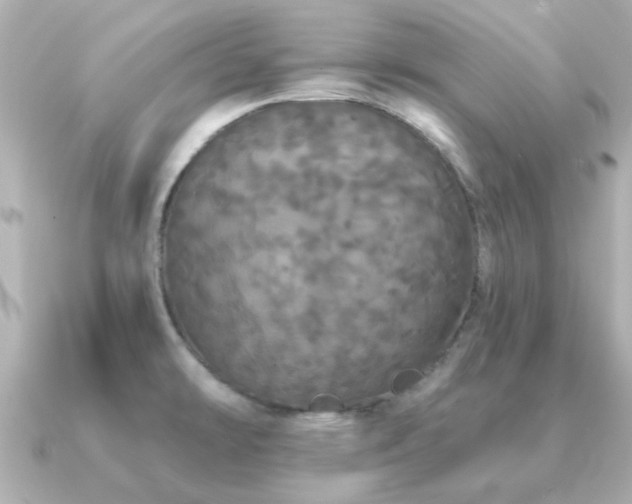 X0000091331478200708101417