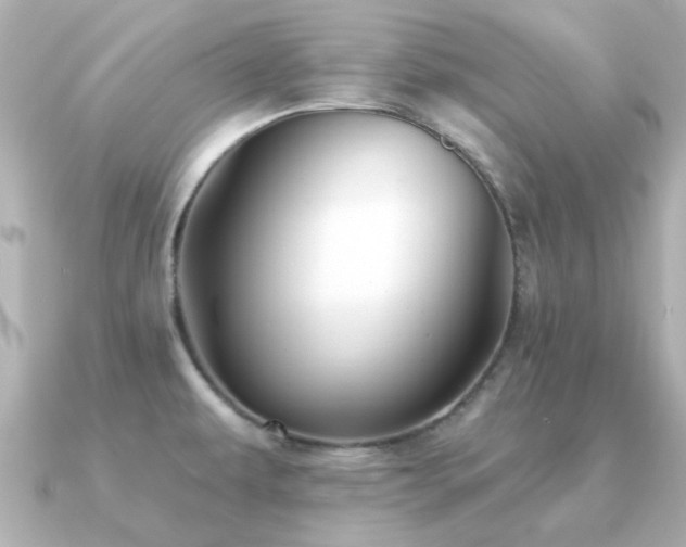 X0000091331479200708101417