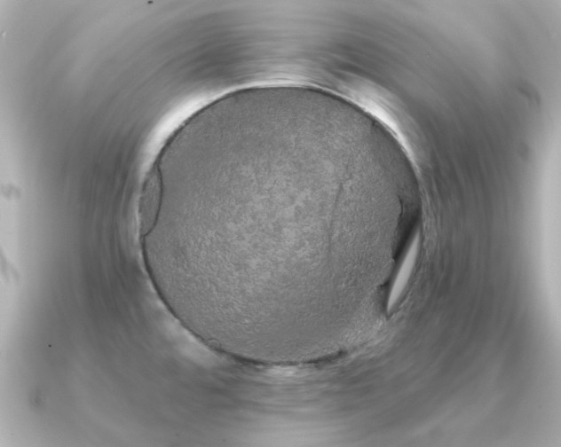 X0000091331480200708101417