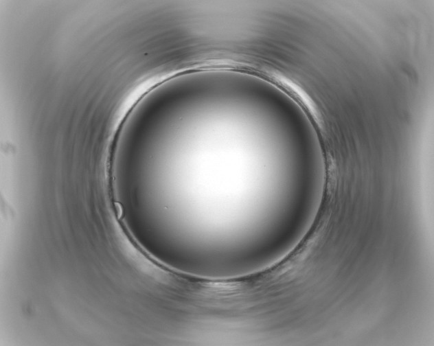 X0000091331483200708101417