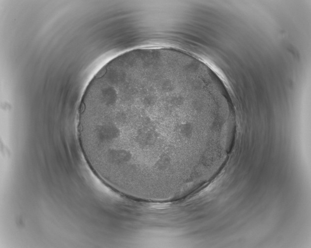 X0000091331484200708101417