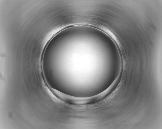X0000091331485200708101417