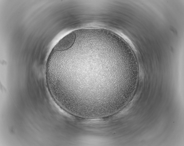 X0000091331486200708101417