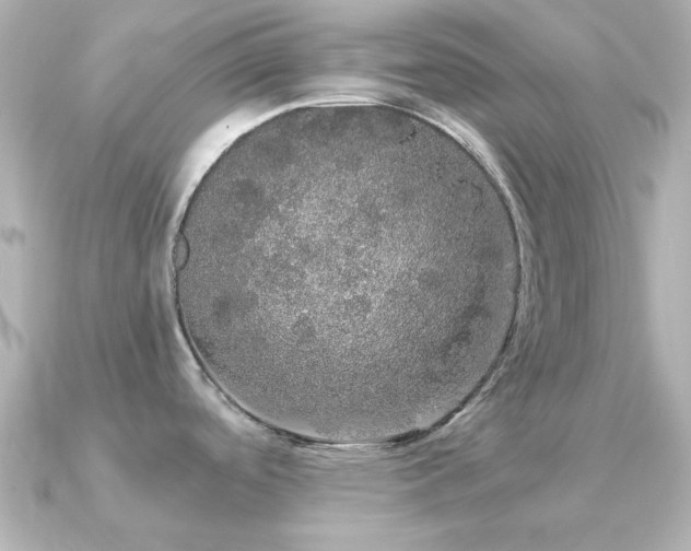 X0000091331488200708101417