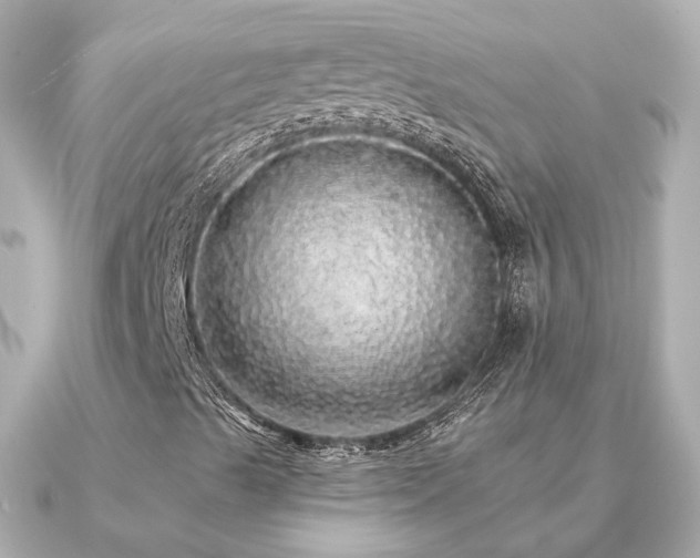 X0000091331489200708101416