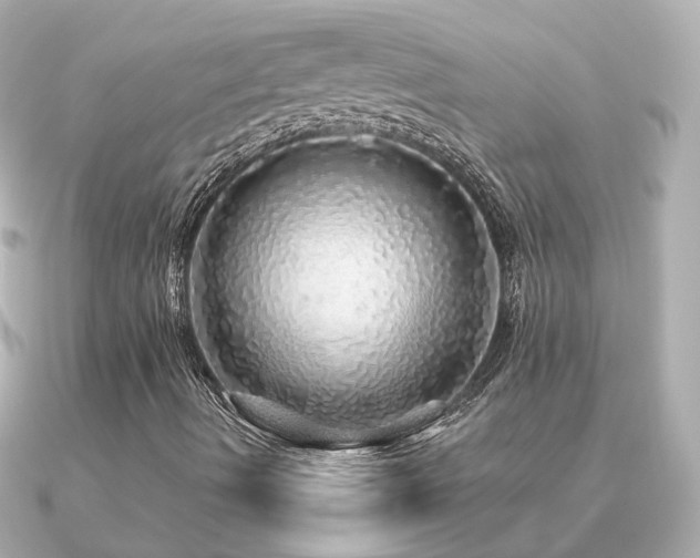 X0000091331490200708101416