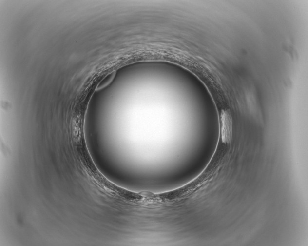 X0000091331491200708101416