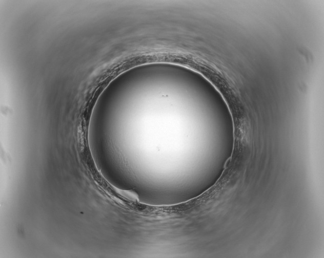 X0000091331493200708101416
