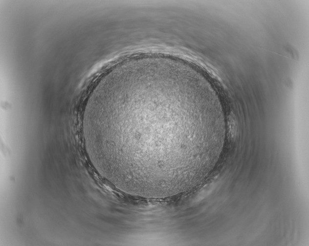 X0000091331494200708101416