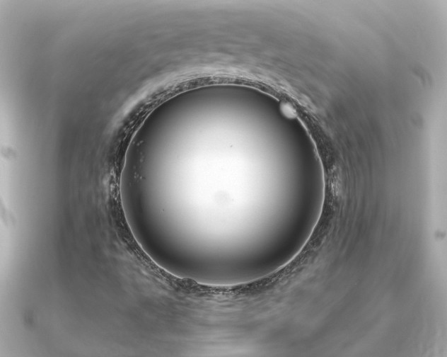 X0000091331495200708101416